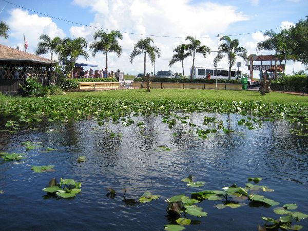 Everglades